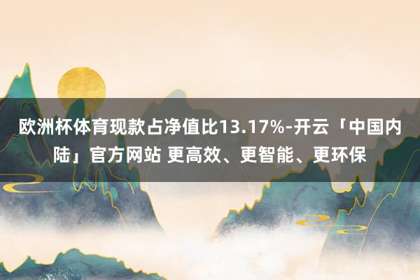 欧洲杯体育现款占净值比13.17%-开云「中国内陆」官方网站 更高效、更智能、更环保