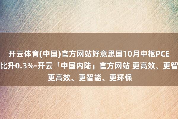 开云体育(中国)官方网站好意思国10月中枢PCE物价指数环比升0.3%-开云「中国内陆」官方网站 更高效、更智能、更环保