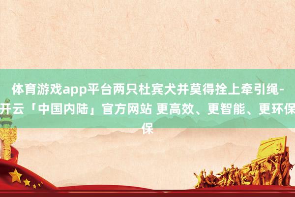 体育游戏app平台两只杜宾犬并莫得拴上牵引绳-开云「中国内陆」官方网站 更高效、更智能、更环保