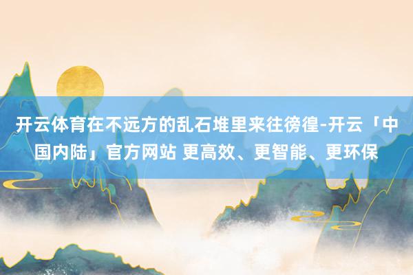 开云体育在不远方的乱石堆里来往徬徨-开云「中国内陆」官方网站 更高效、更智能、更环保