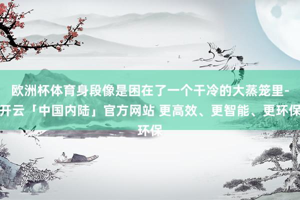 欧洲杯体育身段像是困在了一个干冷的大蒸笼里-开云「中国内陆」官方网站 更高效、更智能、更环保