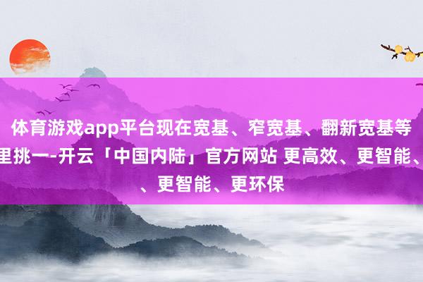 体育游戏app平台现在宽基、窄宽基、翻新宽基等观点百里挑一-开云「中国内陆」官方网站 更高效、更智能、更环保