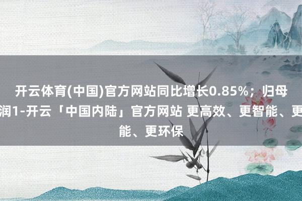 开云体育(中国)官方网站同比增长0.85%；归母净利润1-开云「中国内陆」官方网站 更高效、更智能、更环保