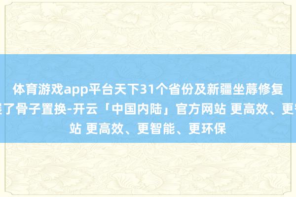 体育游戏app平台天下31个省份及新疆坐蓐修复兵团一起开展了骨子置换-开云「中国内陆」官方网站 更高效、更智能、更环保