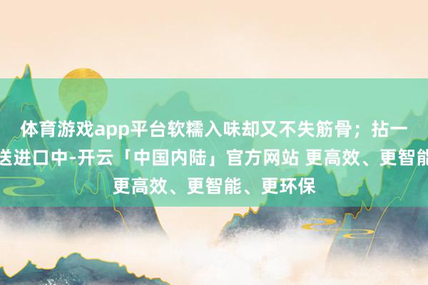 体育游戏app平台软糯入味却又不失筋骨；拈一派五花肉送进口中-开云「中国内陆」官方网站 更高效、更智能、更环保
