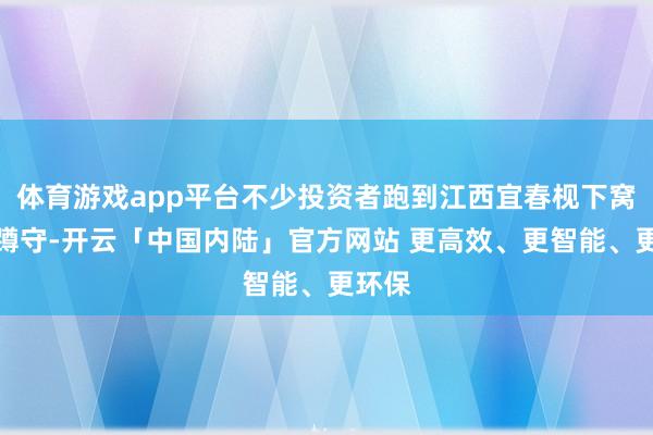 体育游戏app平台不少投资者跑到江西宜春枧下窝矿区蹲守-开云「中国内陆」官方网站 更高效、更智能、更环保