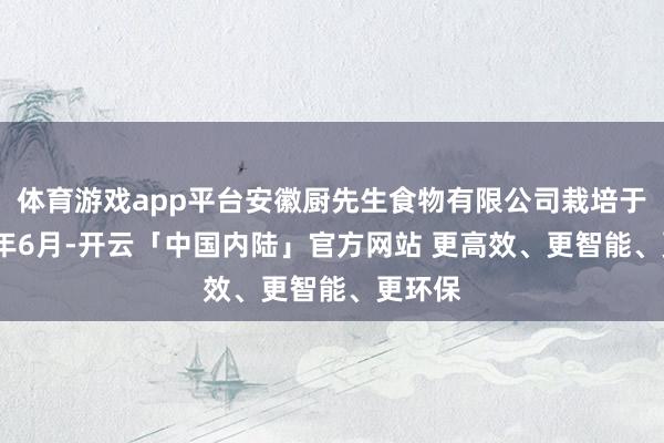 体育游戏app平台安徽厨先生食物有限公司栽培于2021年6月-开云「中国内陆」官方网站 更高效、更智能、更环保